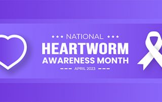 Heartworm disease
