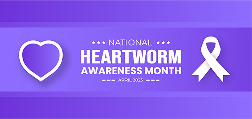 Heartworm disease