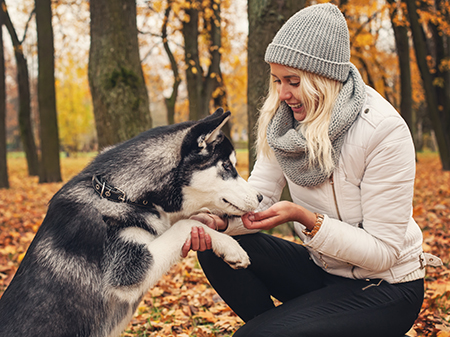 Best treats for dogs