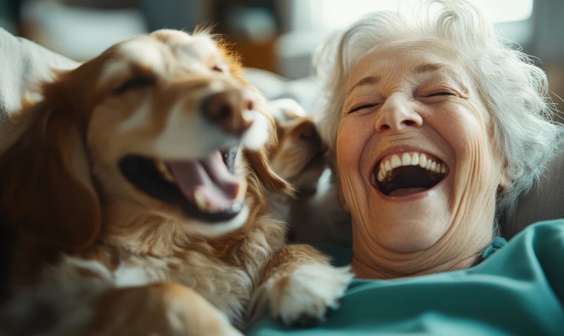 Improving Longevity for your pet