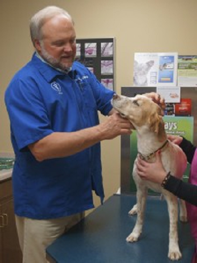 Madison Veterinarian | Madison AL | Whitworth Animal Clinic