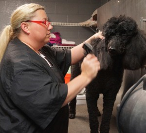 Staff at Whitworth Animal Clinic