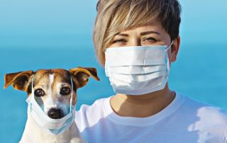 Pets Contract Coronavirus