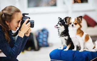 Tips for Taking Photos of Your Pets