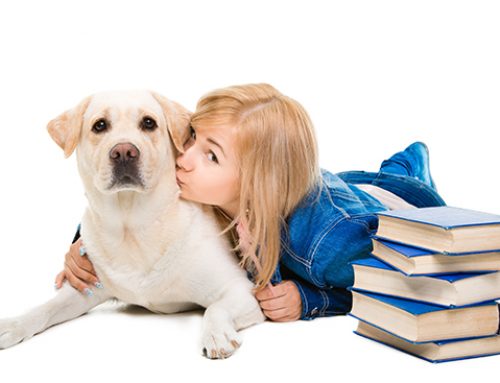 Help Your Pet Overcome the Back-to-School Blues