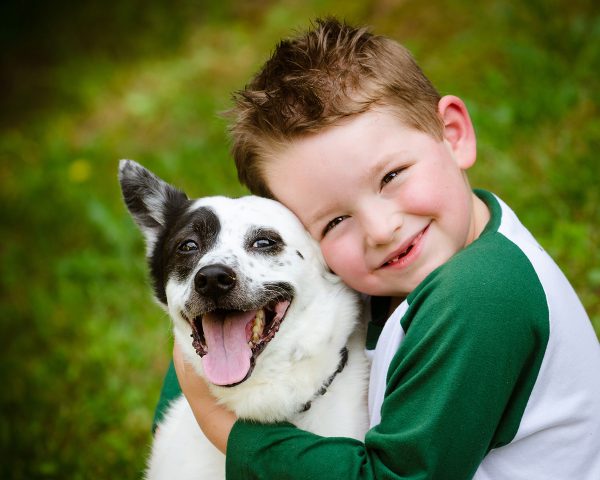 dogs and children