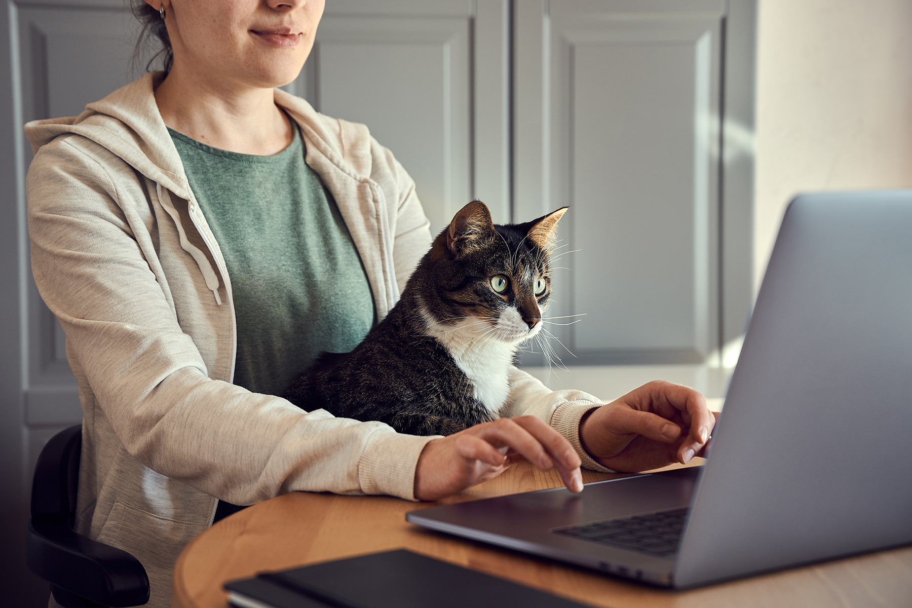 Cats Love to help their family work Working Cats