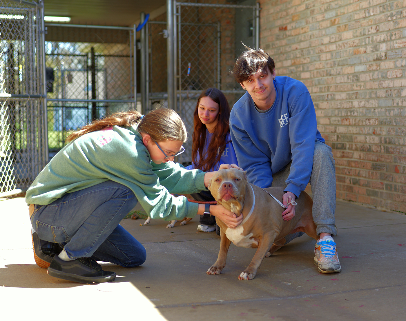 Dog day care at Whitworth Doggy Day Care
