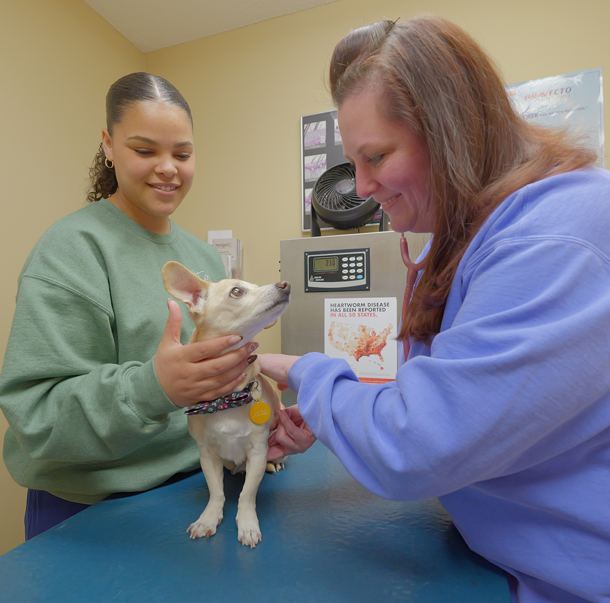 Whitworth pet vaccinations