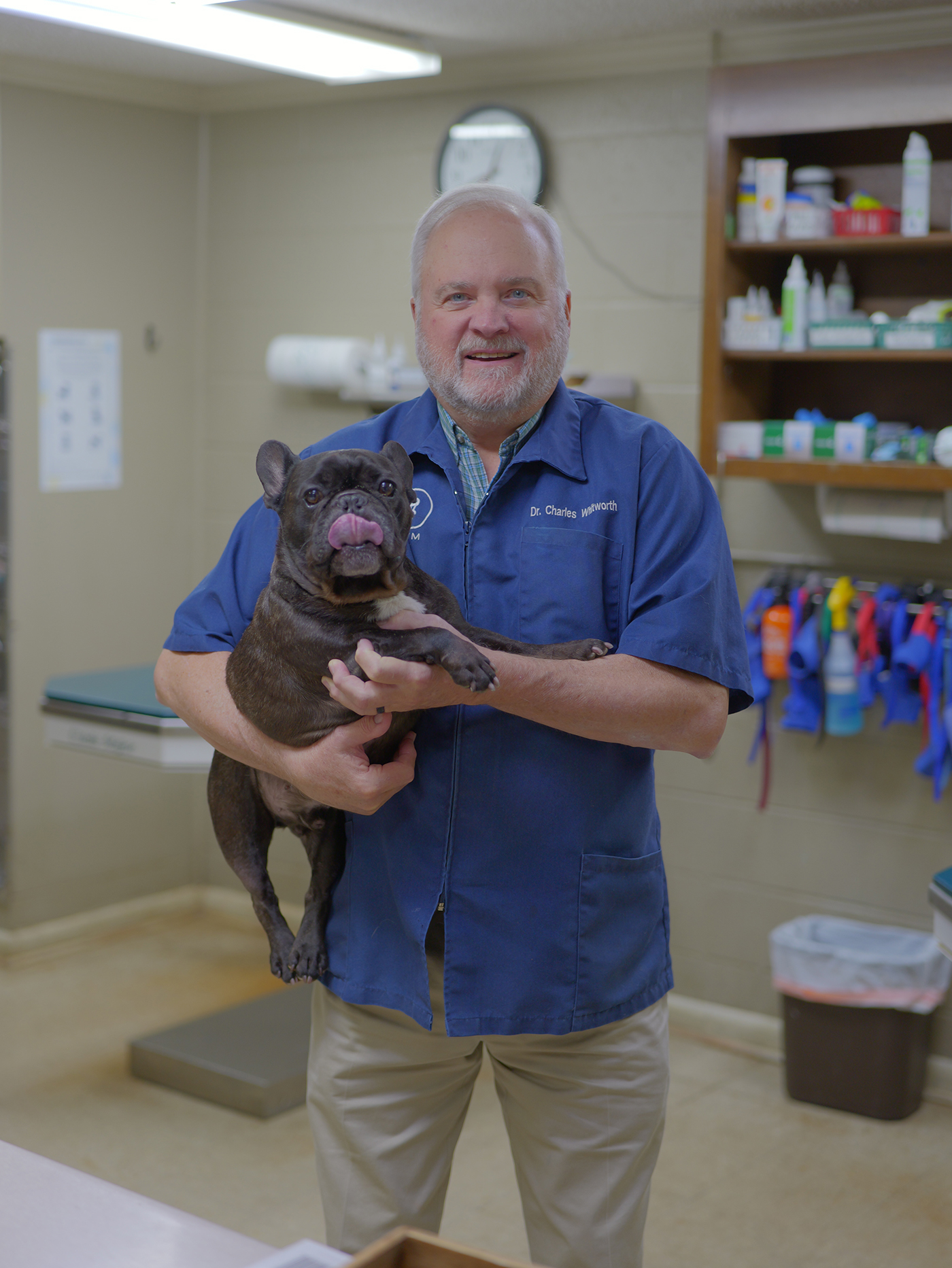 Dr. Whitworth believes in cat declawing