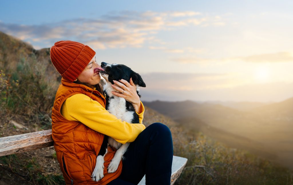 microchipping your pet