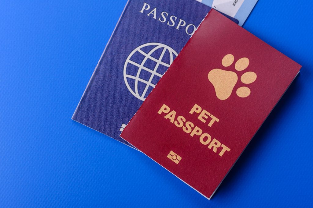 Pet Passport for International travel