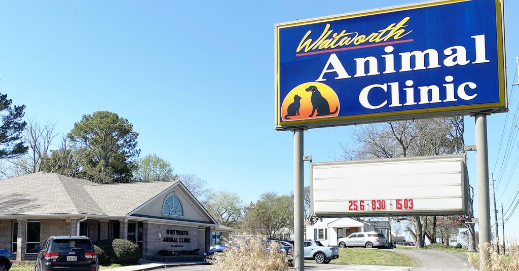 Whitworth Animal Clinic Madison AL