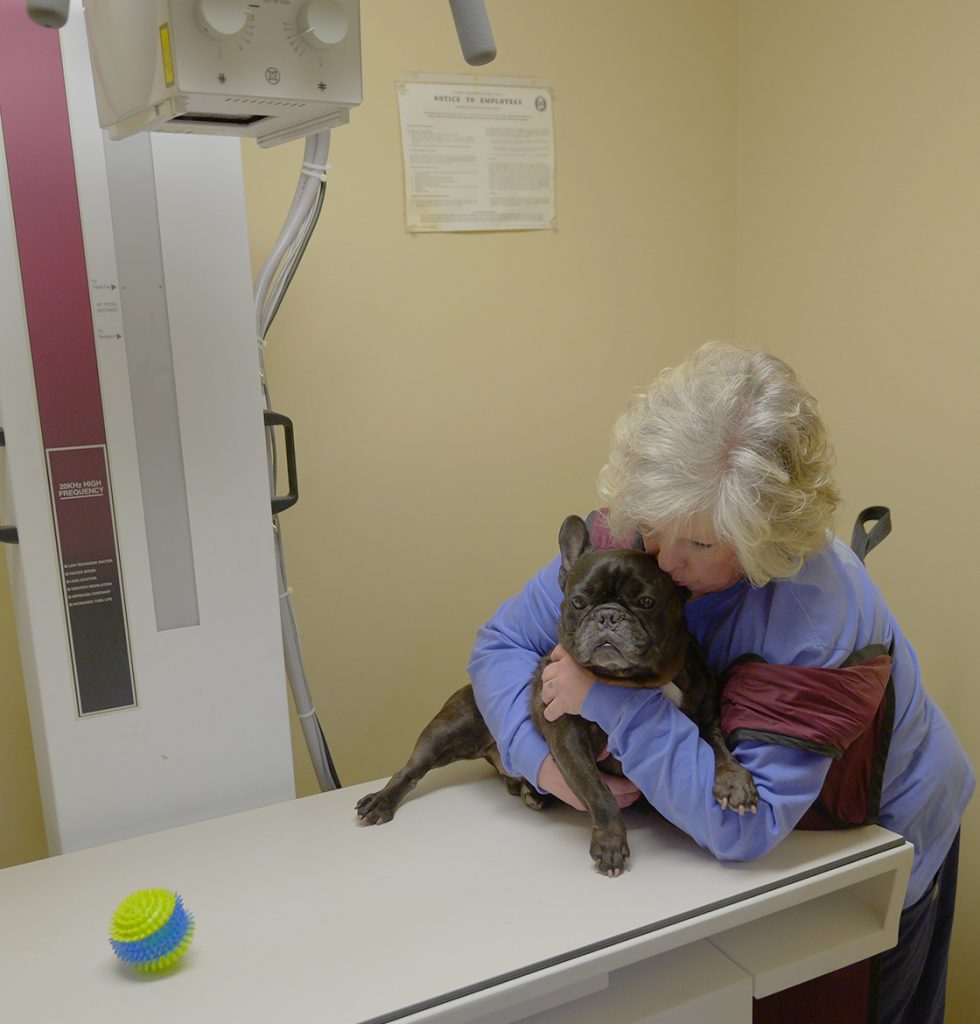 x-ray digital Jennifer brighter In-house Veterinary Laboratory